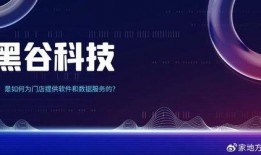 黑谷科技真实爆料视频网,真实爆料视频网内幕大曝光